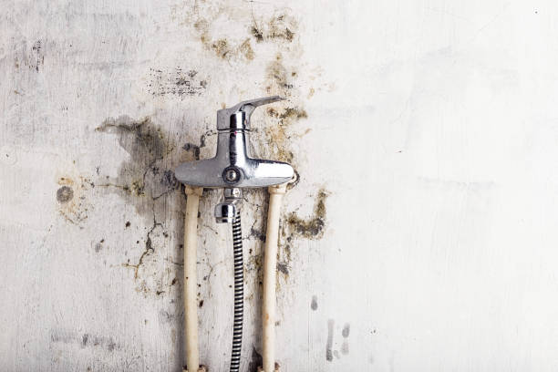 Best Mold Testing  in Soh Ogden, UT